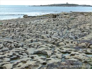 Karst topography on the upper shore at Doolin