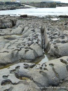 Karst topography in limestone on the upper shore at Doolin