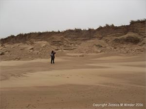 Sand dune erosion on the Welsh coast