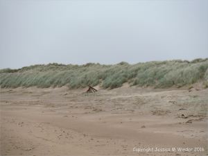 Uneroded low dunes at southwestern part of Whiteford Sands