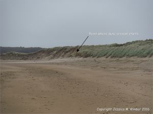 Junction of low uneroded dunes with the eroded higher dunes at Whiteford sands