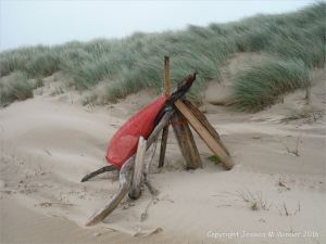 Section of uneroded low sand dunes with flotsam at Whiteford Sands