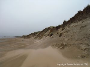 Sand dune erosion at Whiteford Sands on the north Gower coast in South Wales