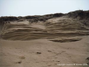 Sand dune erosion at Whiteford Sands on the north Gower coast in South Wales