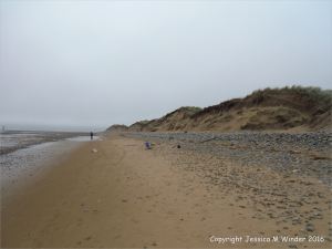 Sand dune erosion at Whiteford Sands on the north Gower coast in South Wales