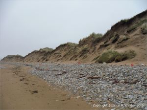Sand dune erosion at Whiteford Sands on the north Gower coast in South Wales