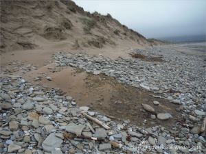 Sand dune erosion at Whiteford Sands on the north Gower coast in South Wales