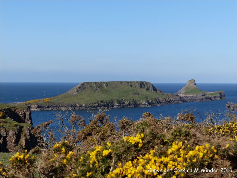 View of the Worm's Head from the Rhossili cliffs