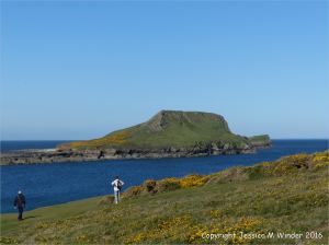 View of the east side of the Worm's Head
