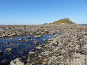 View of the Worm's Head from the south on the causeway