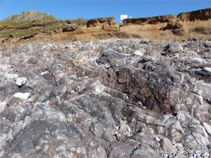 Limestone rock shore on the west side of Worm's Head