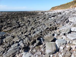 Rocky seashore at Worm's Head