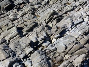 Carboniferous limestone and rock pattern and texture