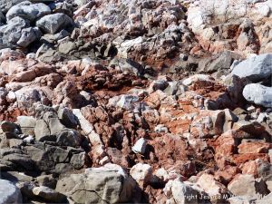 Rock texture in red haematite in Carboniferous limestone at Worm's Head