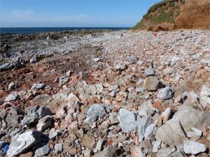 Red haematite in Carboniferous limestone at Worm's Head
