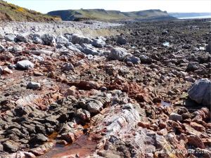 Red haematite in Carboniferous limestone at Worm's Head
