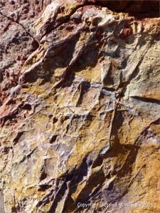 Rock texture and pattern in red haematite in Carboniferous limestone at Worm's Head