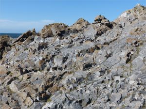 Natural fracture patterns in limestone rocks on the seashore