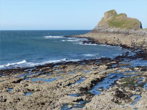 View looking towards Middle Head from the west shore of Inner Head at Worm's Head, Gower.