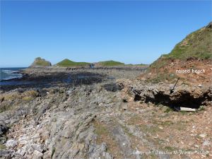 View looking north from Inner Head showing raised beach deposits.