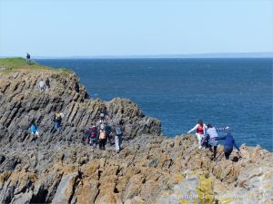 People clambering over rocks at Low Neck on Worm's Head