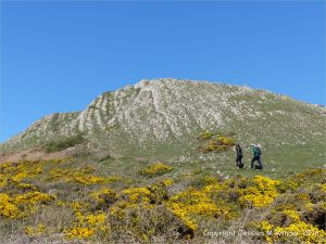 The west flank of Inner Head on Worm's Head, Gower.
