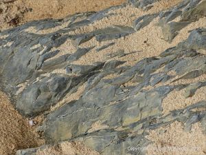 Carboniferous Avon Group rocks at Three Cliffs Bay