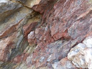 Rock texture in Carboniferous Pembroke Group Limestone at Three Cliffs Bay