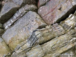 Carboniferous Pembroke Group Limestone strata at Three Cliffs Bay