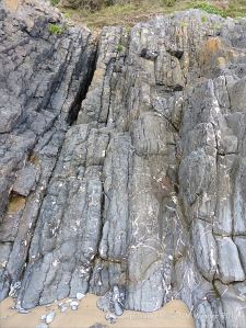 Carboniferous Pembroke Group Limestone strata at Three Cliffs Bay
