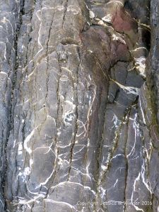Patterns in the rock at Three Cliffs Bay