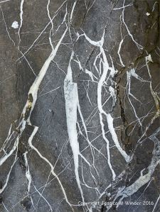 Patterns in the rock at Three Cliffs Bay