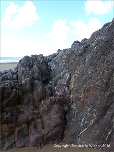 Rock texture in limestone at Three Cliffs Bay