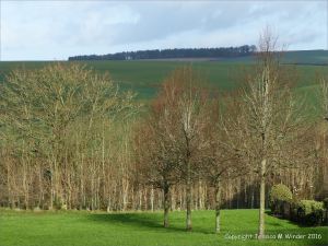 English countryside view