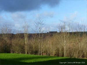 English countryside view