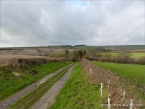 View of country lane
