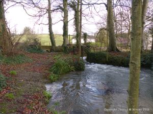 English countryside view with river and fast flowing water