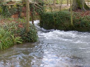 English countryside view with river and fast flowing water