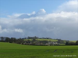 English countryside view of field with new growth of wheat