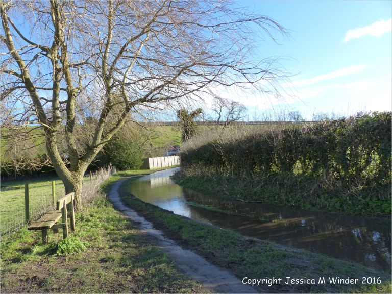 The flooded road at Mill Lane near Charminster