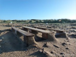 Flotsam wood pallet with drifted sand