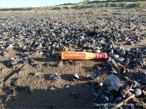 Flotsam orange plastic signal flare