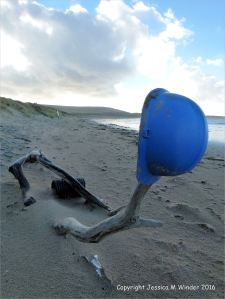 Blue plastic hard hat on driftwood