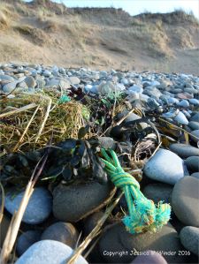 Piece of green and yellow knotted rope flotsam
