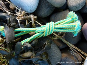 Piece of green and yellow knotted rope flotsam