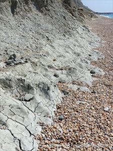Natural fracture patterns in drying mud