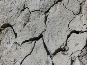 Natural fracture patterns in drying mud