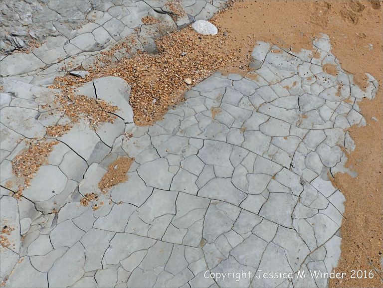 Natural fracture patterns in drying mud