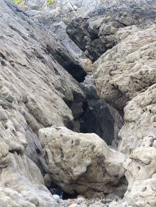 Carboniferous limestone rock formation at Langland Bay