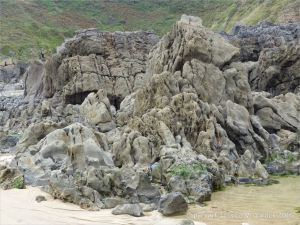 Carboniferous limestone rock formation at Langland Bay